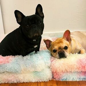 Meet your Posher, Kalan